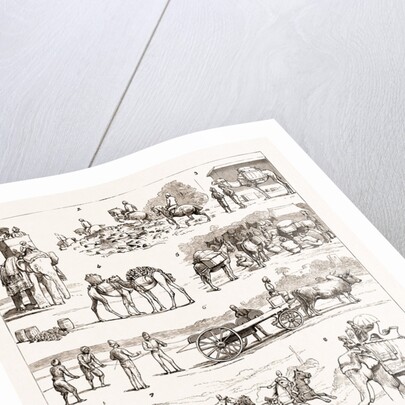 The Sham Fight Before The Prince Of Wales At Delhi, India by Anonymous