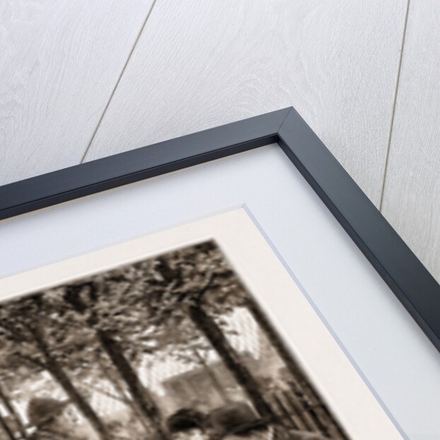 The Churchyard by Anonymous