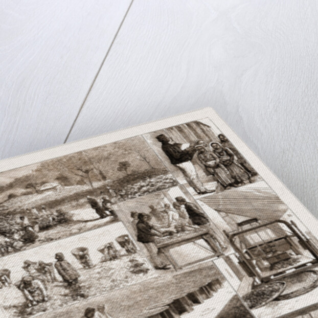 Tea Cultivation In British India by Anonymous