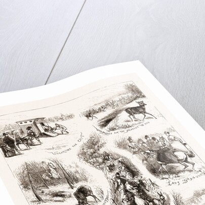 A Day With An Untried Deer by Anonymous