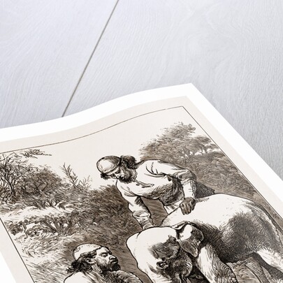 The Smallest Elephant In Camp by Anonymous