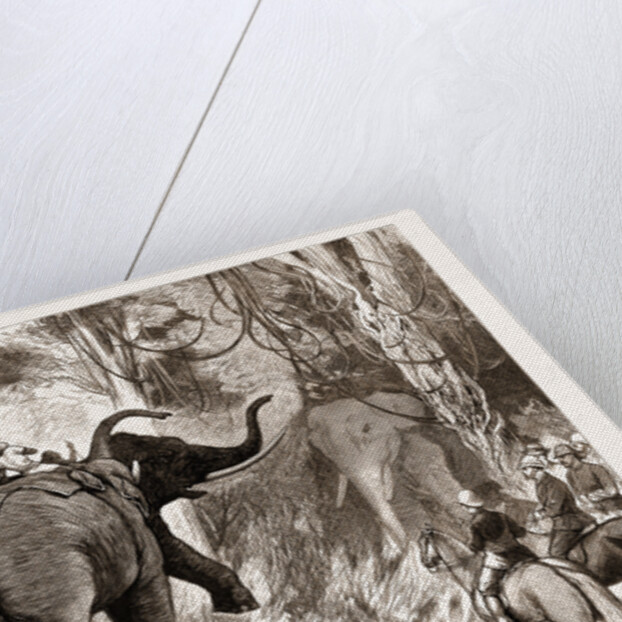 Binding A Wild Elephant by Anonymous