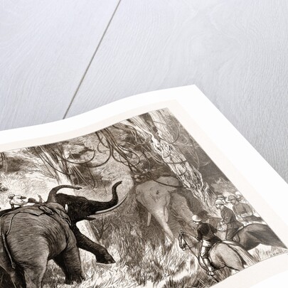 Binding A Wild Elephant by Anonymous