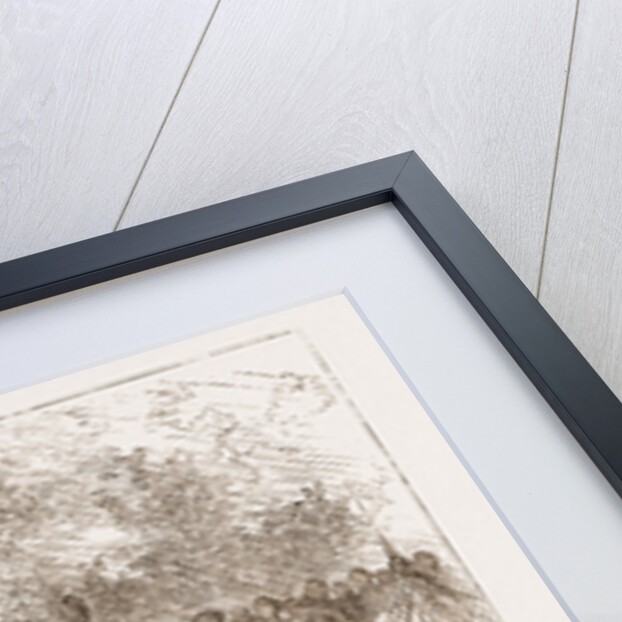 A Lame Day, Africa by Anonymous