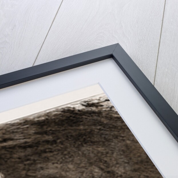 The Prince Of Wales At Malta, 1876: 3. The Grotto Of St. Paul by Anonymous