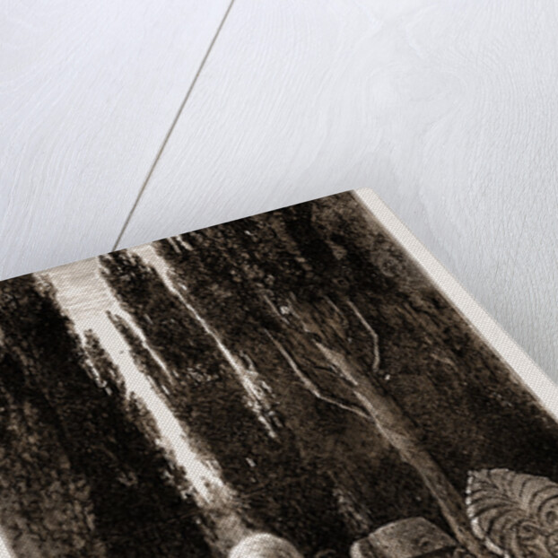 A Family Corner At The Turkish Cemetery At Scutari, Istanbul by Anonymous