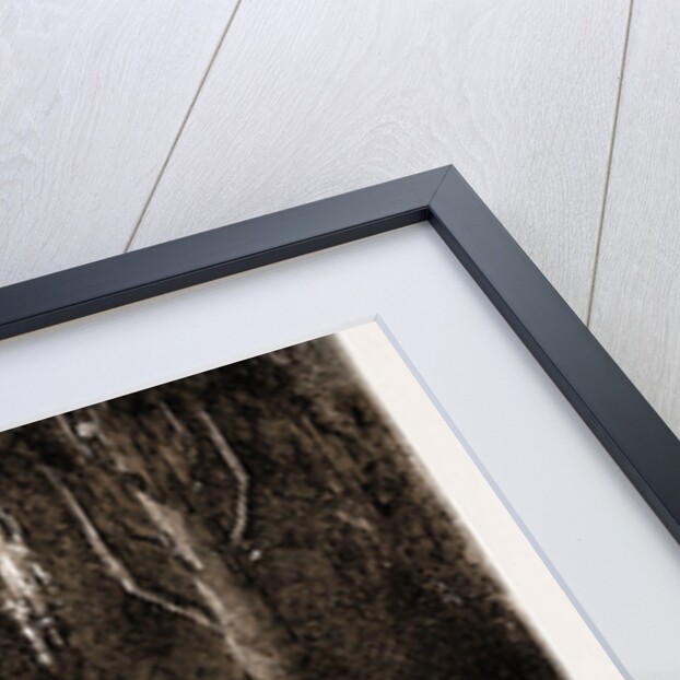 A Family Corner At The Turkish Cemetery At Scutari, Istanbul by Anonymous