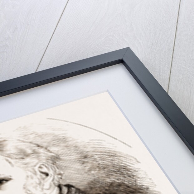 The Right Hon. Viscount Stratford De Redcliffe, K.g by Anonymous