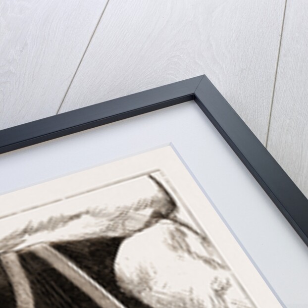 The Prince Of Wales At Gibraltar, 1876: The Harper Of The 23rd Royal Welsh Fusiliers by Anonymous