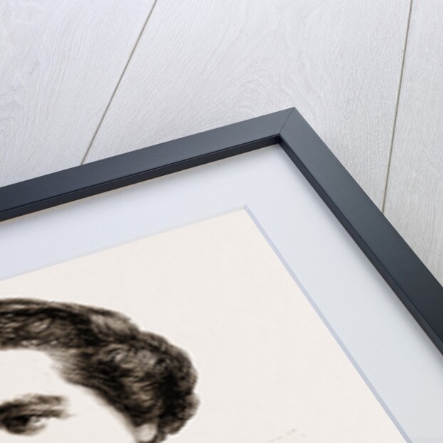 Signor Rossi, The Italian Tragedian by Anonymous