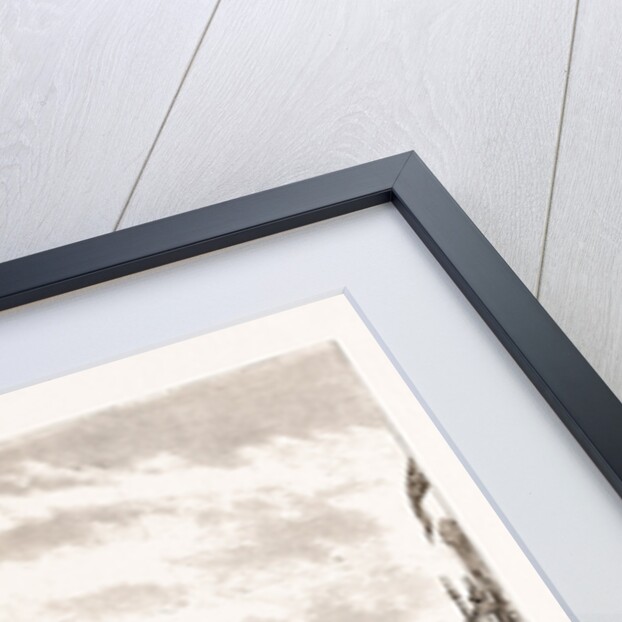 Arrival Of The Prince Of Wales In London, UK by Anonymous