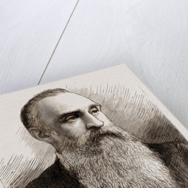 Professor T.c. Archer by Anonymous