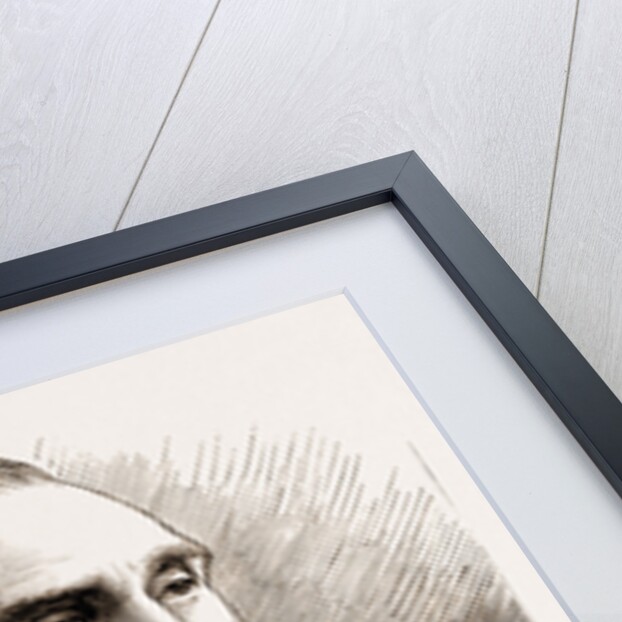 Professor T.c. Archer by Anonymous