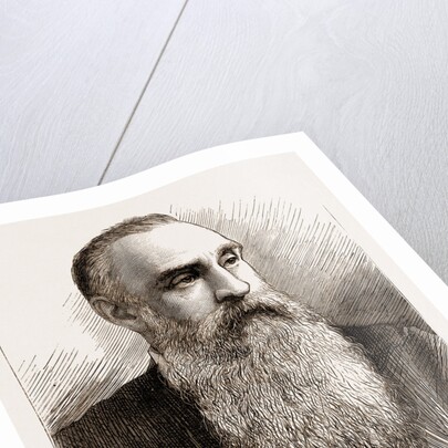 Professor T.c. Archer by Anonymous