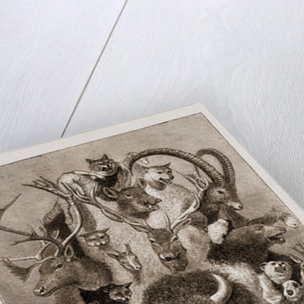 The Wild Game Of Europe, Hunting Trophies by Anonymous