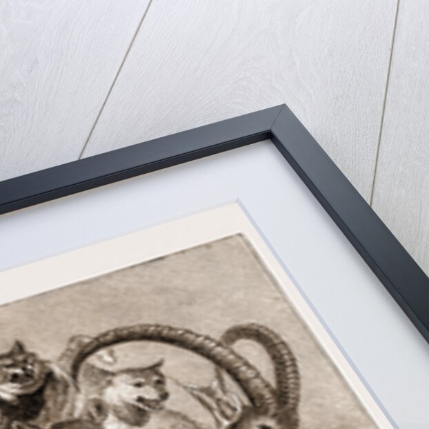 The Wild Game Of Europe, Hunting Trophies by Anonymous