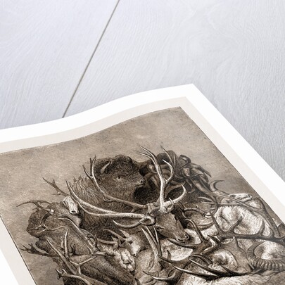 The Wild Game Of America, 1876 by Anonymous