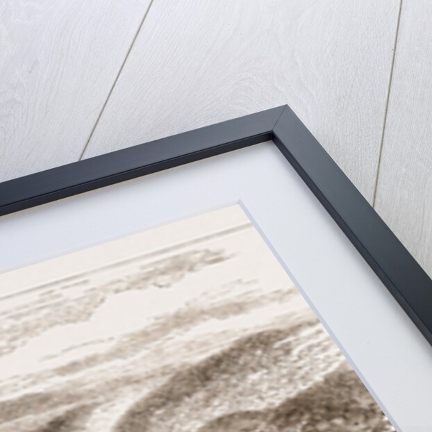 A Visit To The West Indies by Anonymous