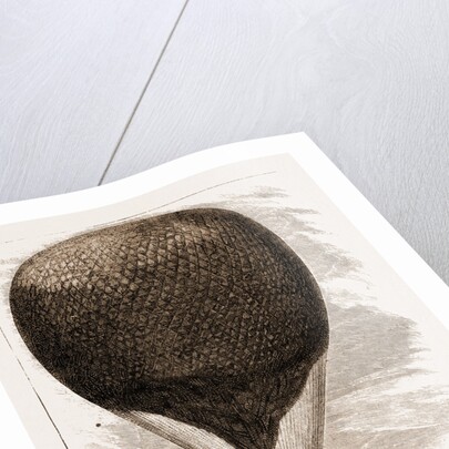 M. Gambetta Leaving Paris For The Provinces In A Balloon, Oct. 8 by Anonymous