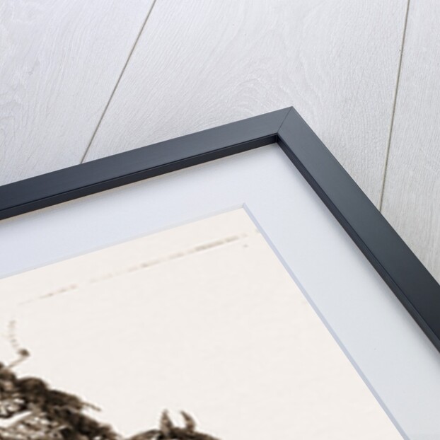 A Night Descent Into The Crater Of Kilauea, Hawaii by Anonymous