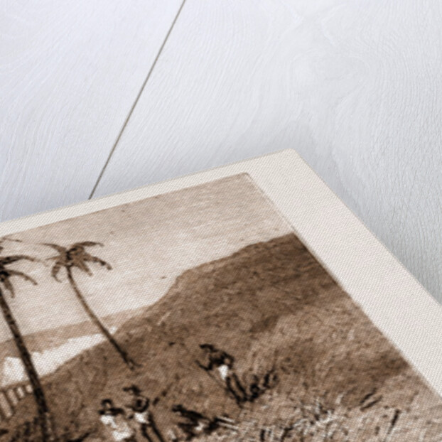 Carrying Sugar Cane On The Pioneer Plantation, Mackay by Anonymous