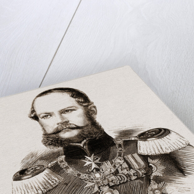 Prince Frederick Charles Alexander Of Prussia, Brother Of The Emperor William And Grandfather Of The Duchess Of Connaught by Anonymous