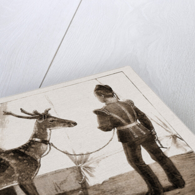 Billy, The Pet Deer Of The Prince Of Wales's Own (west Yorkshire Regiment) by Anonymous