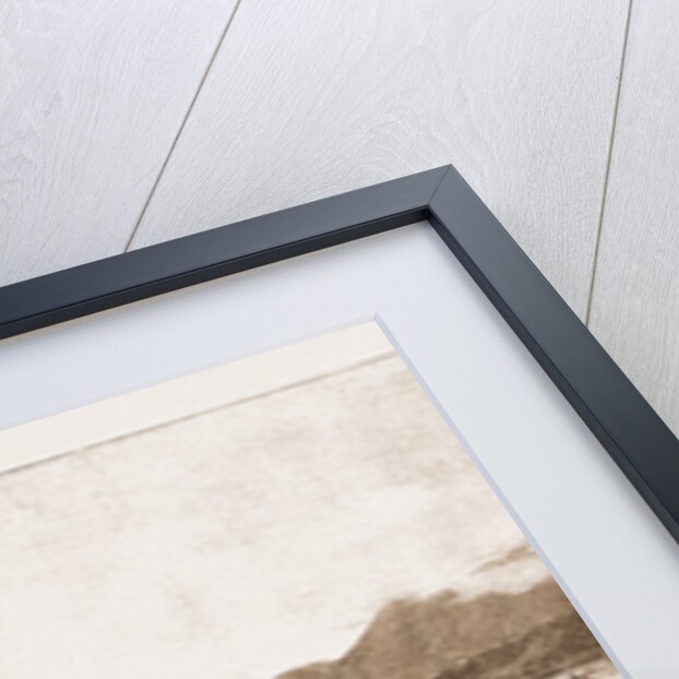 The Village Of Kamloops At The Confluence Of The North And South Thompson Rivers, Canada by Anonymous