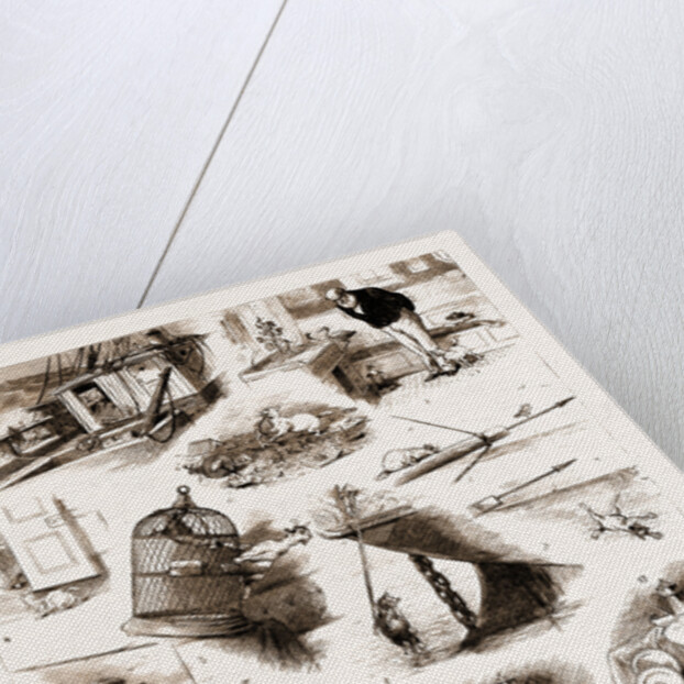 The Nautical Adventures Of A Cat by Anonymous