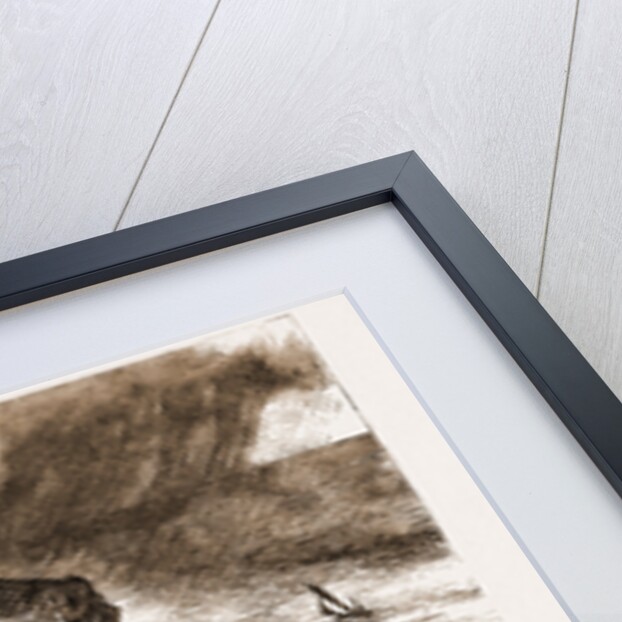 A Cornish Fox Hunt: A Run Down The Cliff: A Sketch From Tintagel, UK by Anonymous