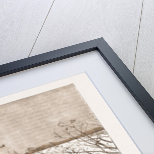 The Welcome To The Princess Louise At Hamilton, Bermuda by Anonymous