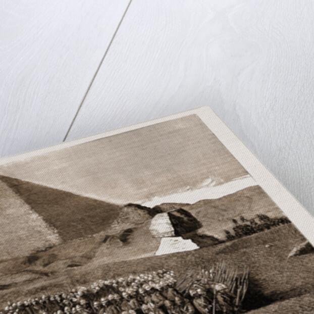 The Recent War In Egypt, 1883 by Anonymous