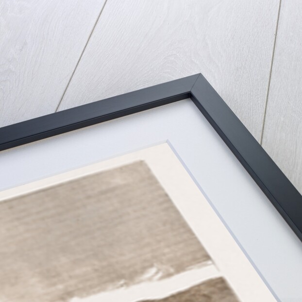 The Recent War In Egypt, 1883 by Anonymous