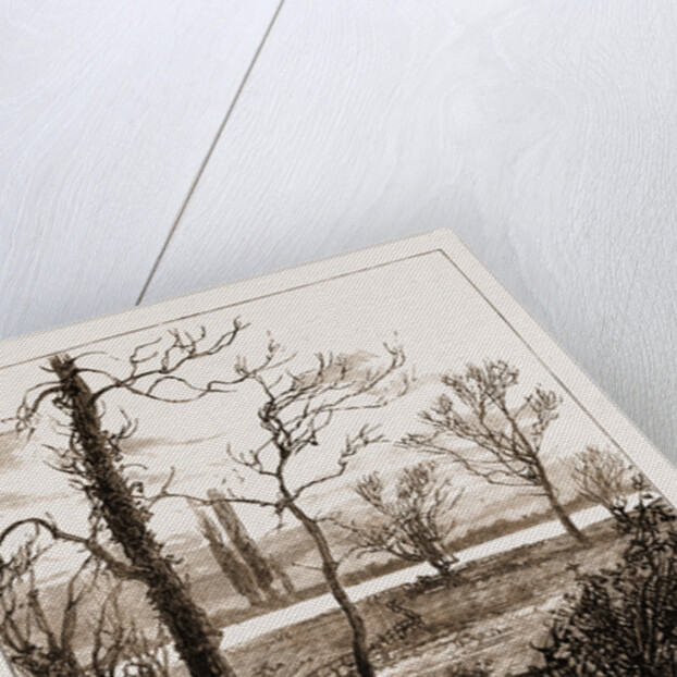 The Attack On Lady Florence Dixie Near Windsor, UK by Anonymous