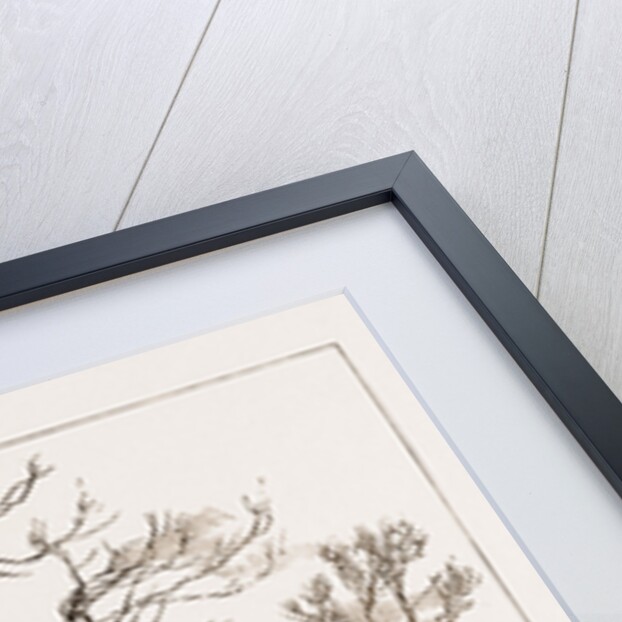 The Attack On Lady Florence Dixie Near Windsor, UK by Anonymous