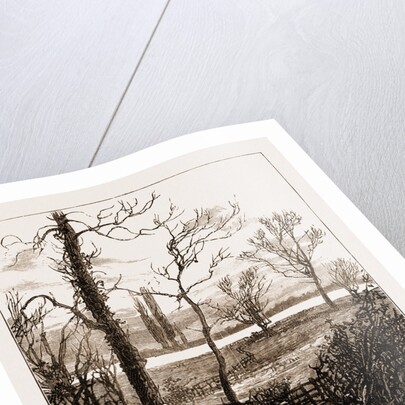 The Attack On Lady Florence Dixie Near Windsor, UK by Anonymous