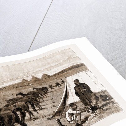 Cavalry Horses At Grass, Cairo by Anonymous