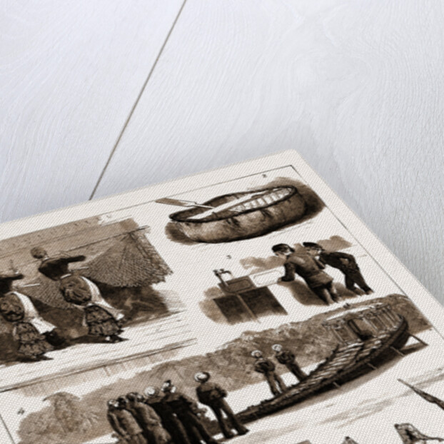 The International Fisheries Exhibition At South Kensington by Anonymous