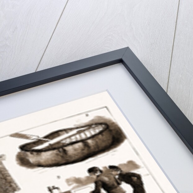 The International Fisheries Exhibition At South Kensington by Anonymous