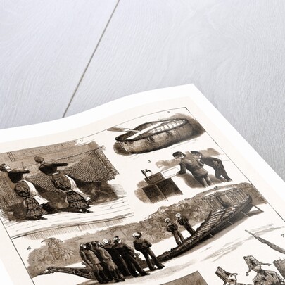 The International Fisheries Exhibition At South Kensington by Anonymous