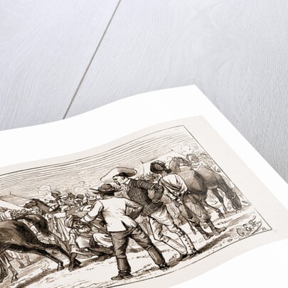 At An Indian Horse Fair: A Sketch At Muttra, 1883 by Anonymous
