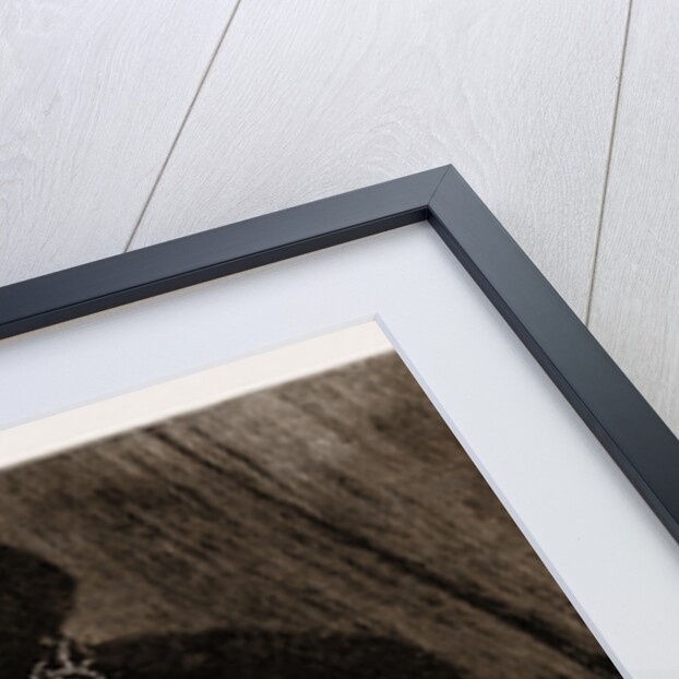 A Trip In A Birch Bark Canoe On The Rideau Canal, Canada: Gambling In Our Festive Camp, 1883 by Anonymous