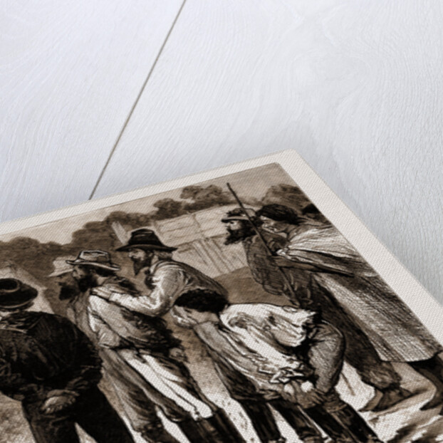 Our First Lady Visitors, New South Wales, Australia, 1883 by Anonymous