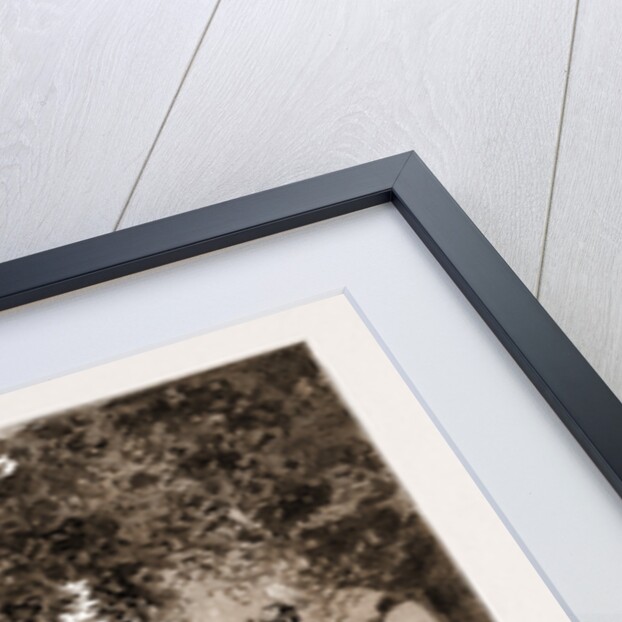 The German Autumn Manoeuvres, 1883 by Anonymous