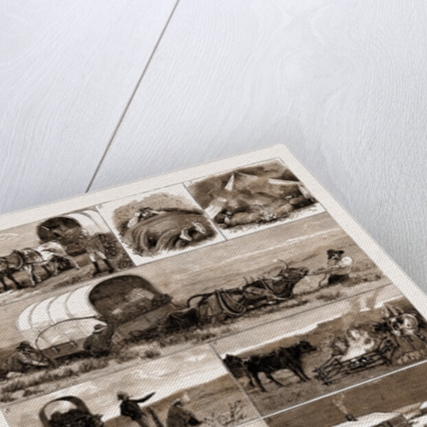 Scenes From An Emigrant's Life In Manitoba, Canada, 1883 by Anonymous