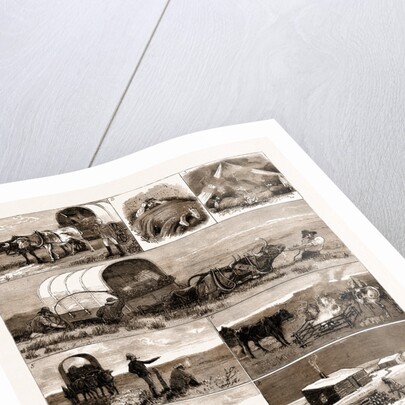 Scenes From An Emigrant's Life In Manitoba, Canada, 1883 by Anonymous