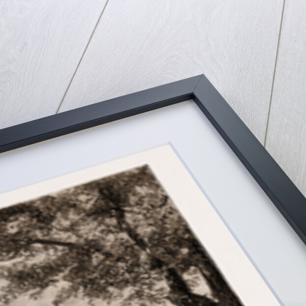 General View Of Victoria, Hong Kong, 1883 by Anonymous