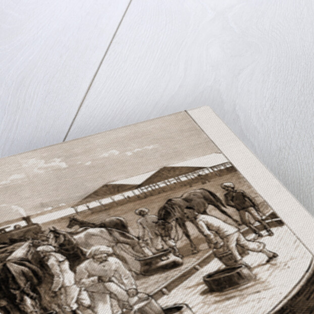 The Rebellion In The Sudan, With Baker Pasha's Reinforcements, 1883 by Anonymous