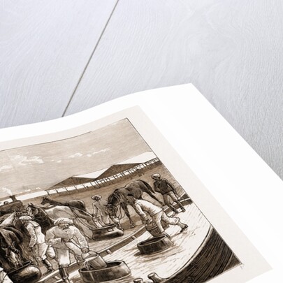 The Rebellion In The Sudan, With Baker Pasha's Reinforcements, 1883 by Anonymous