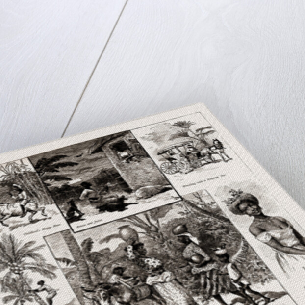 Life In Jamaica, 1886 by Anonymous